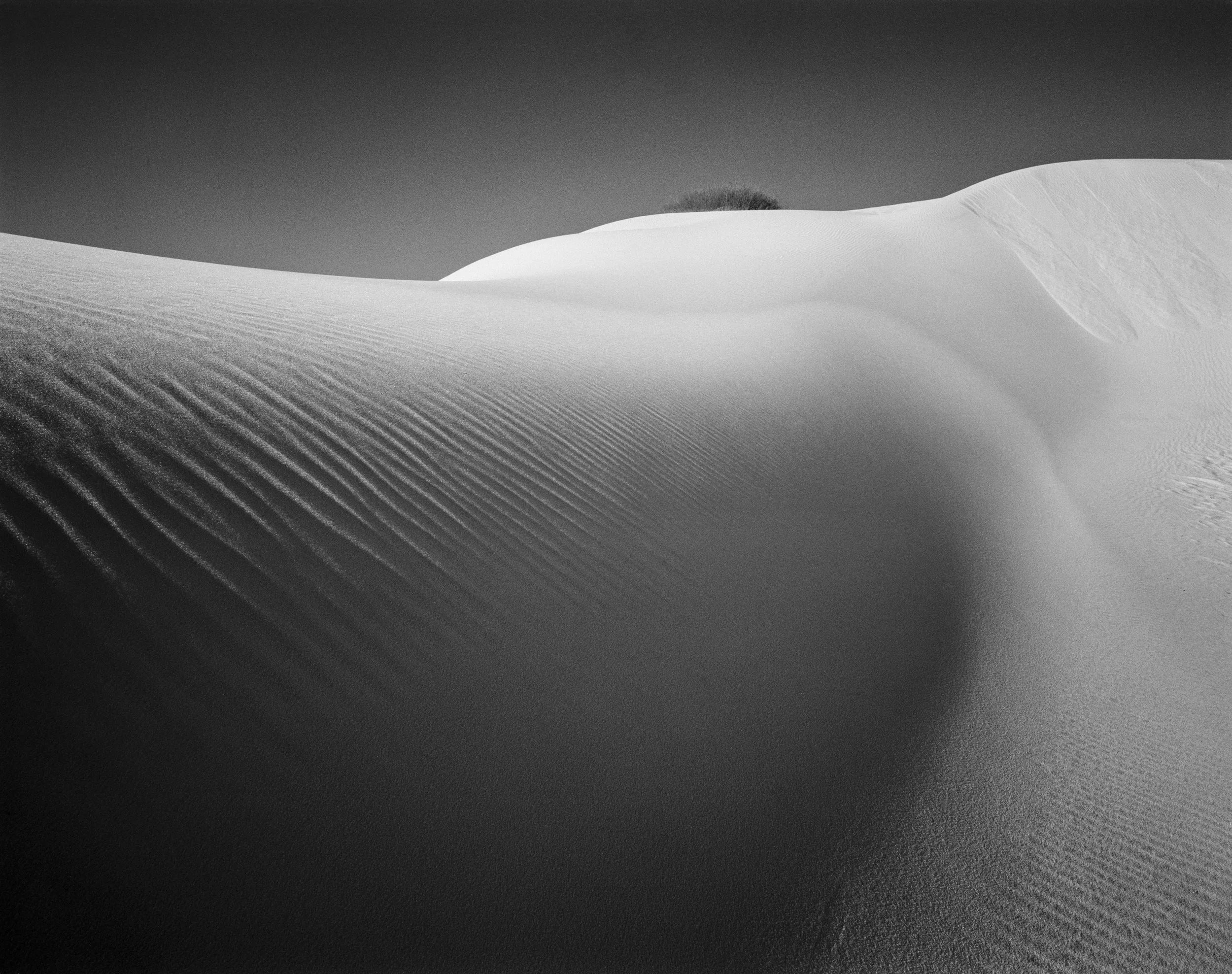 D2CookJenshelNew01_Sand Dunes.jpg