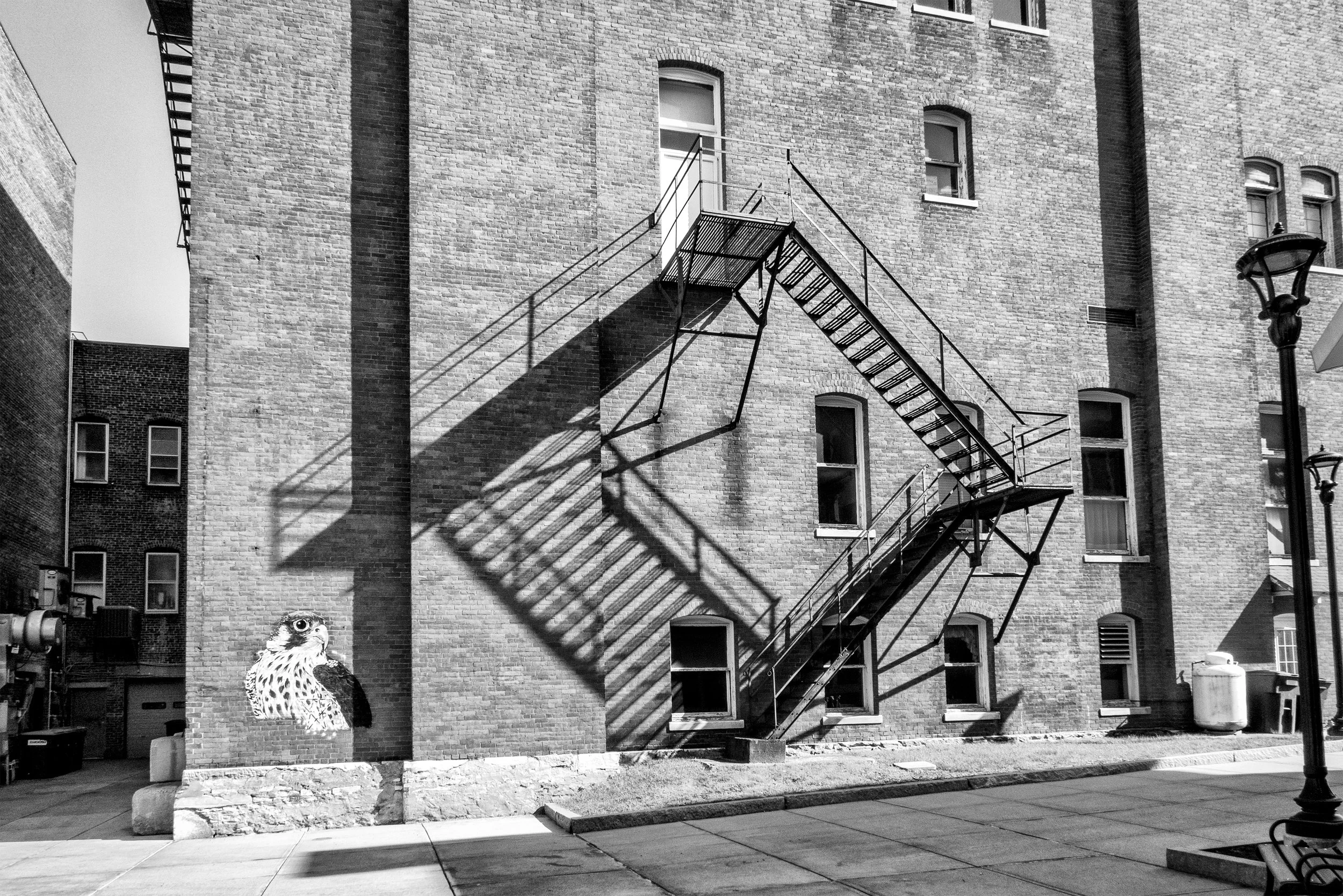 Barbara Gilson New 3