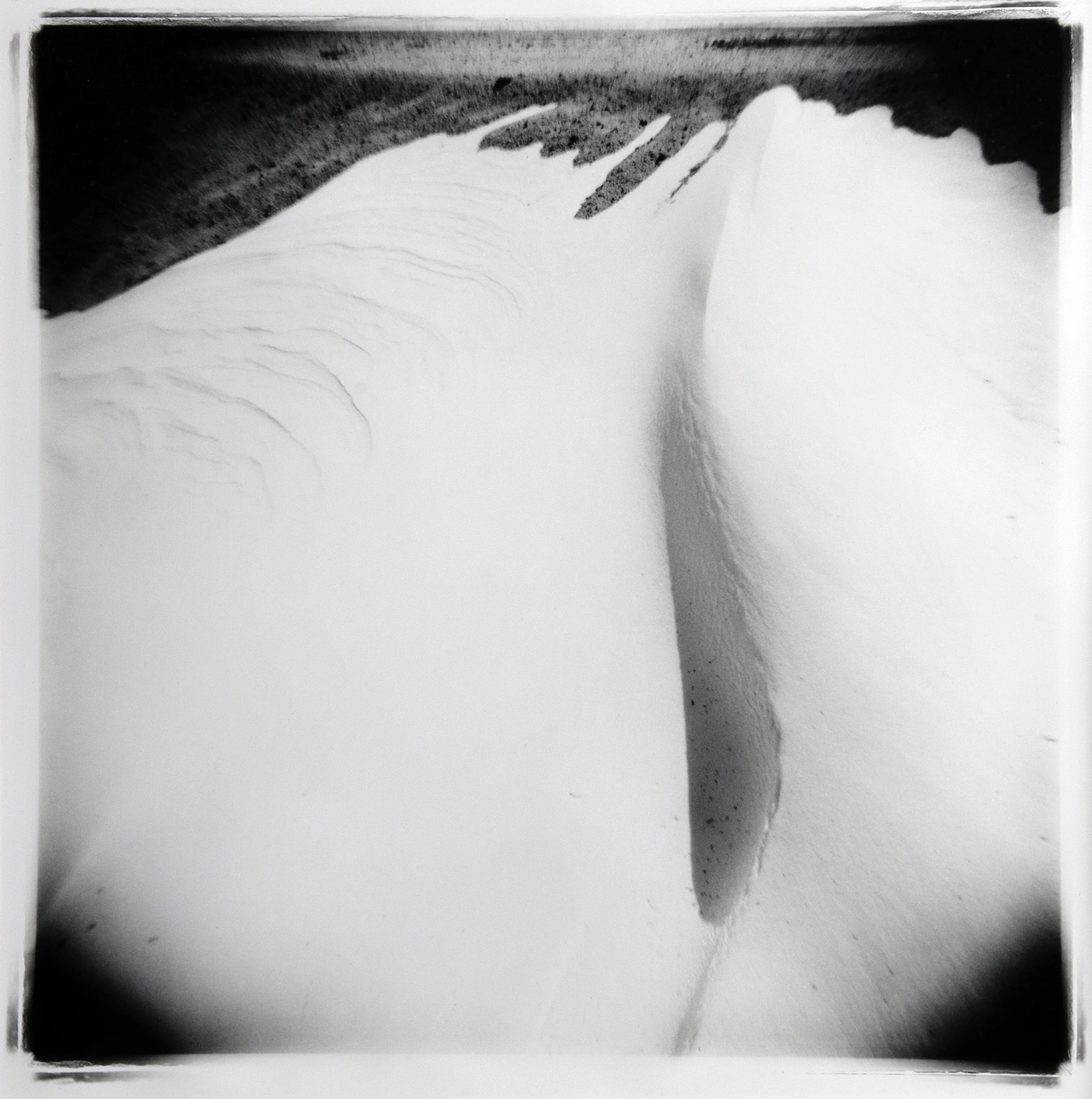 Sandy Sorlien Original 3