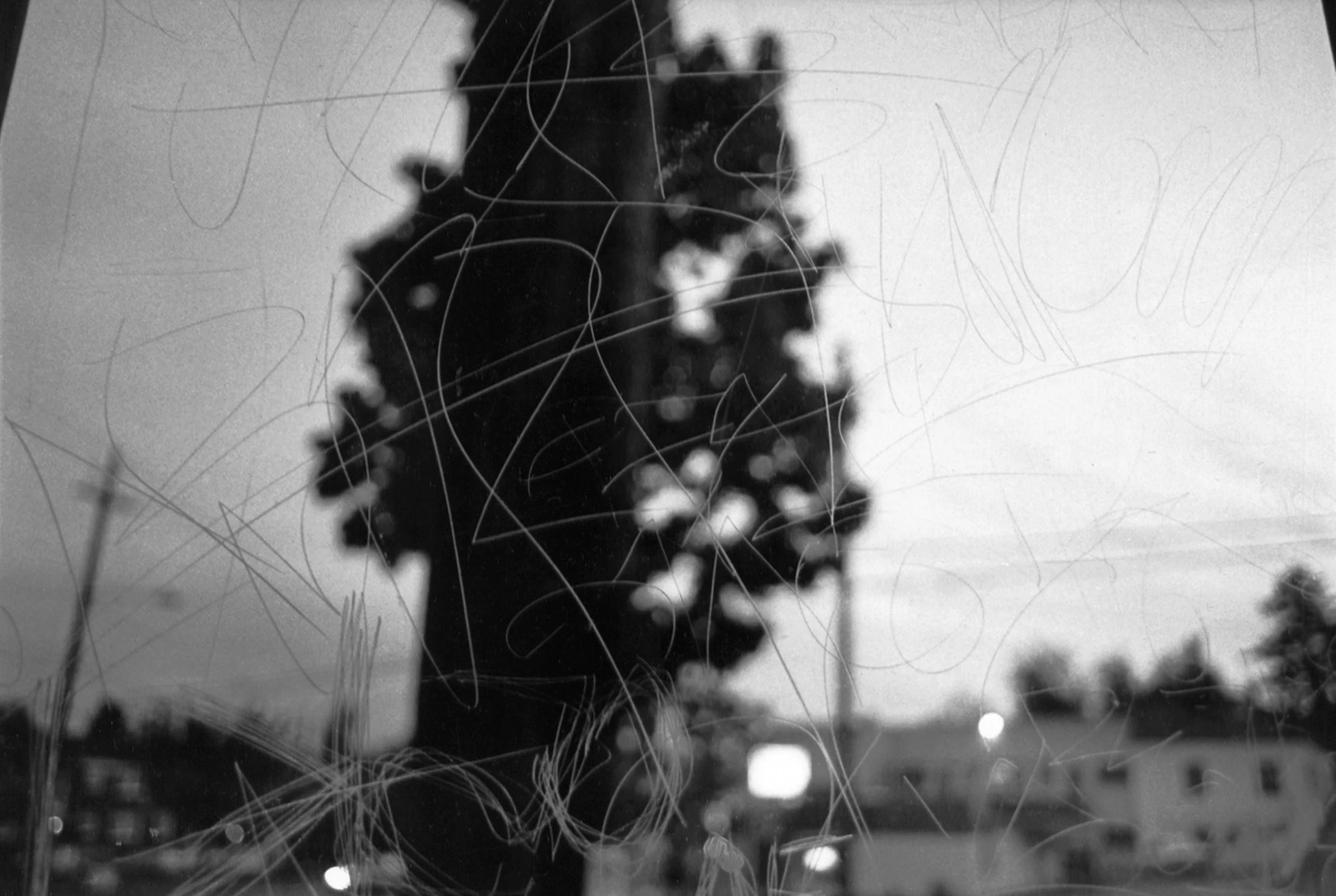 D4KendellenOrig03 Ann Kendellen.jpeg