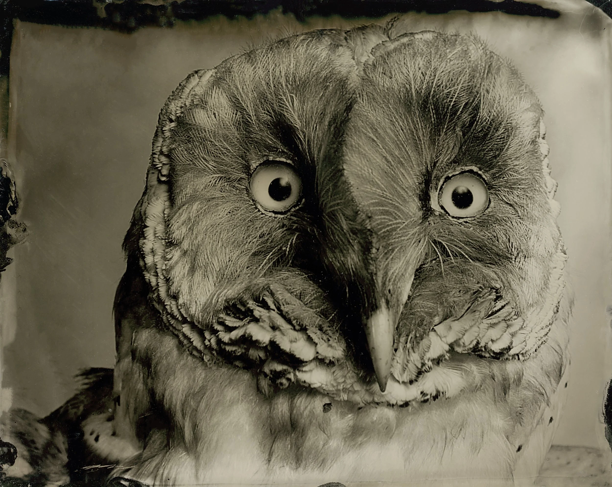 Mary Frey Original 1