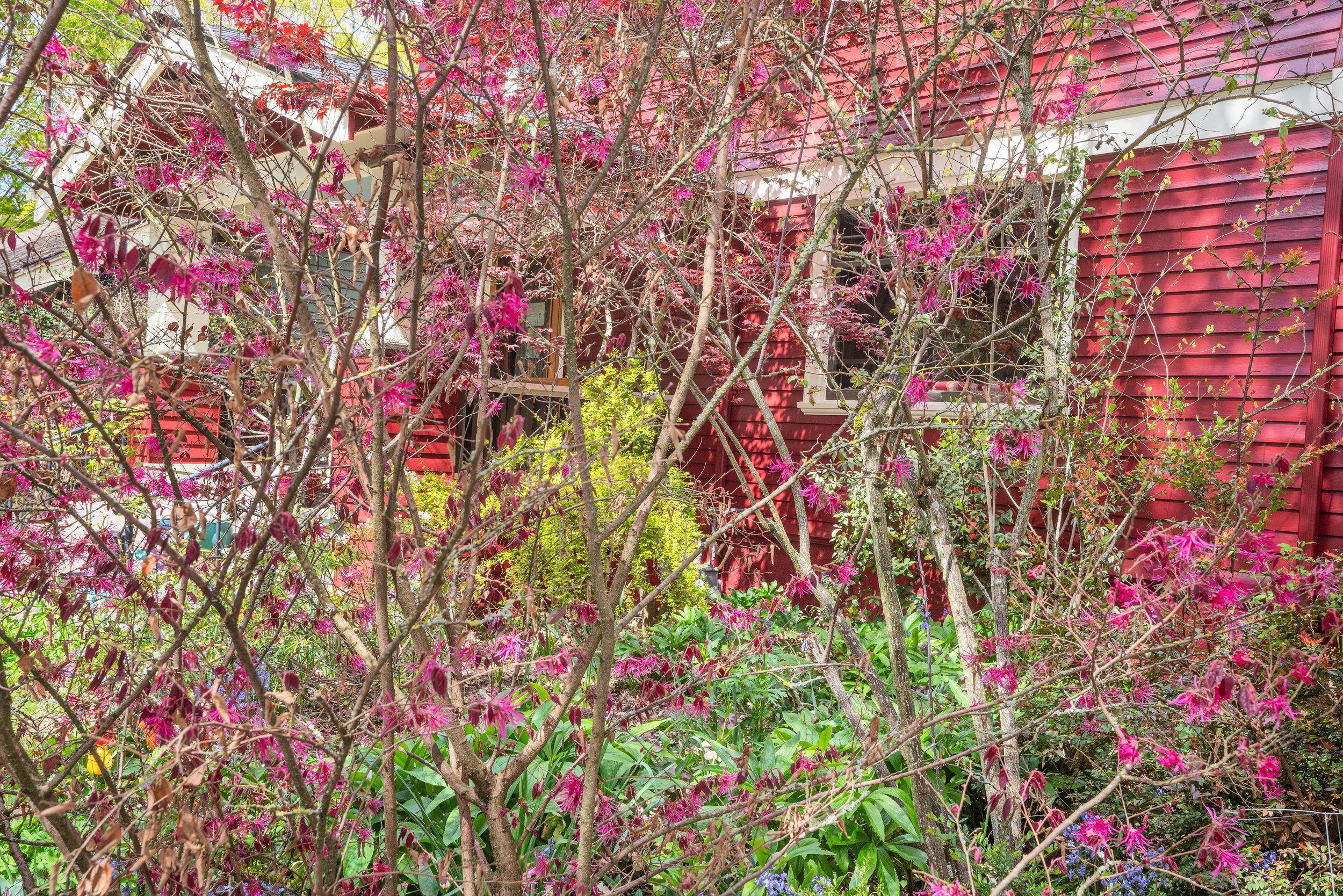 Barbara Gilson New 2