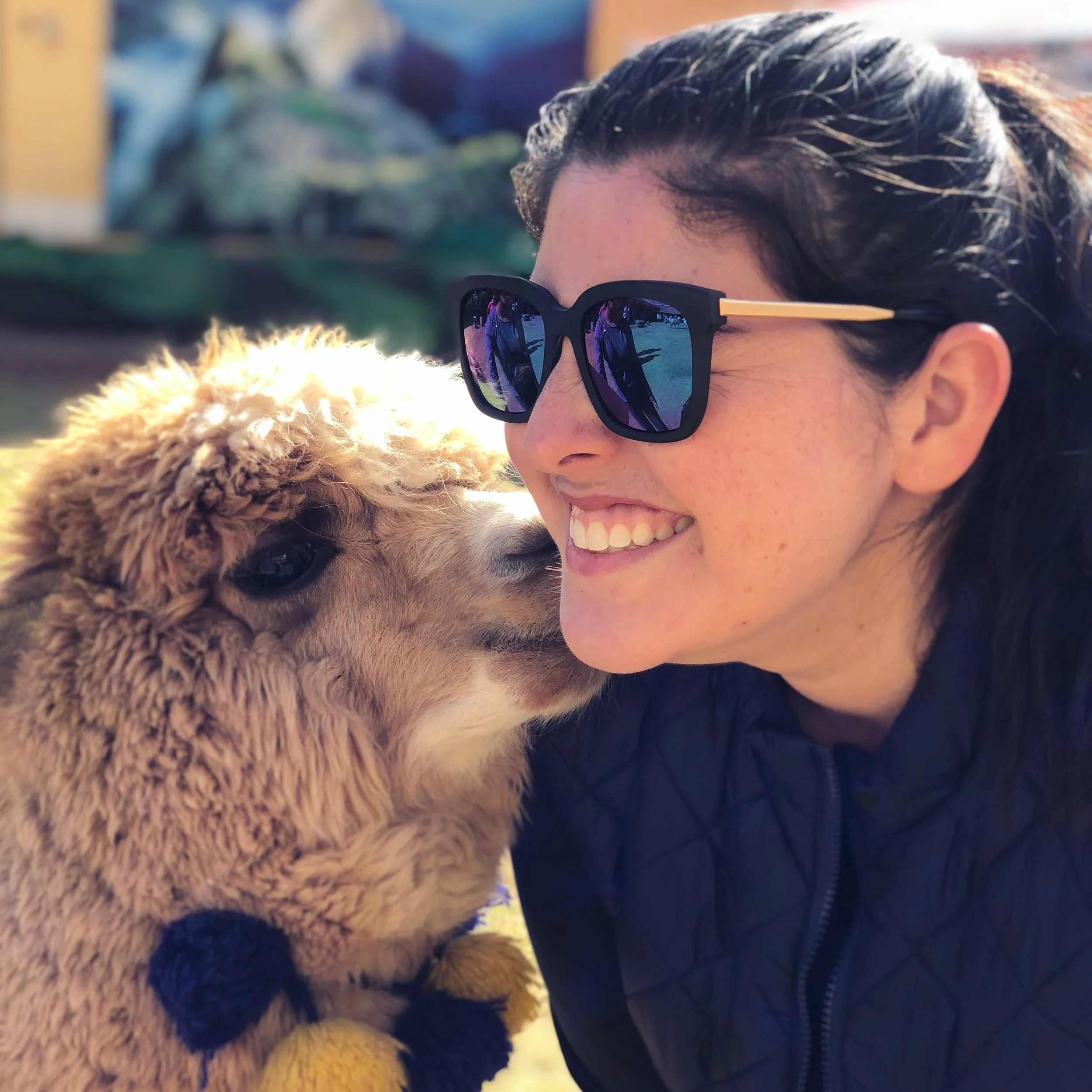 Remote Year: A Recap Of Lima, Peru