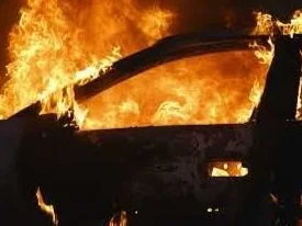 TrueCut Motion: The Next Evolution in Moving Pictures