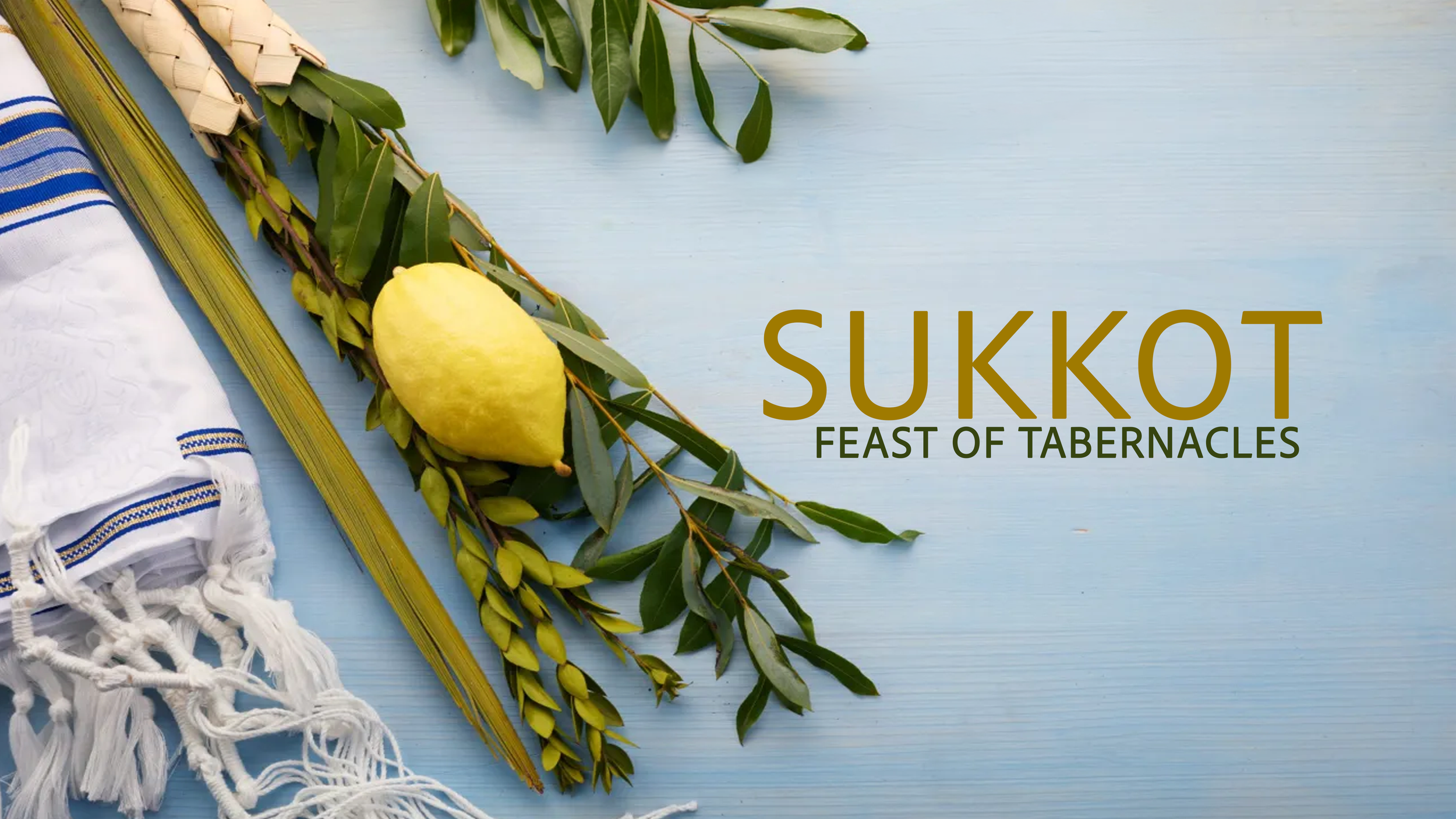 sukkot.png