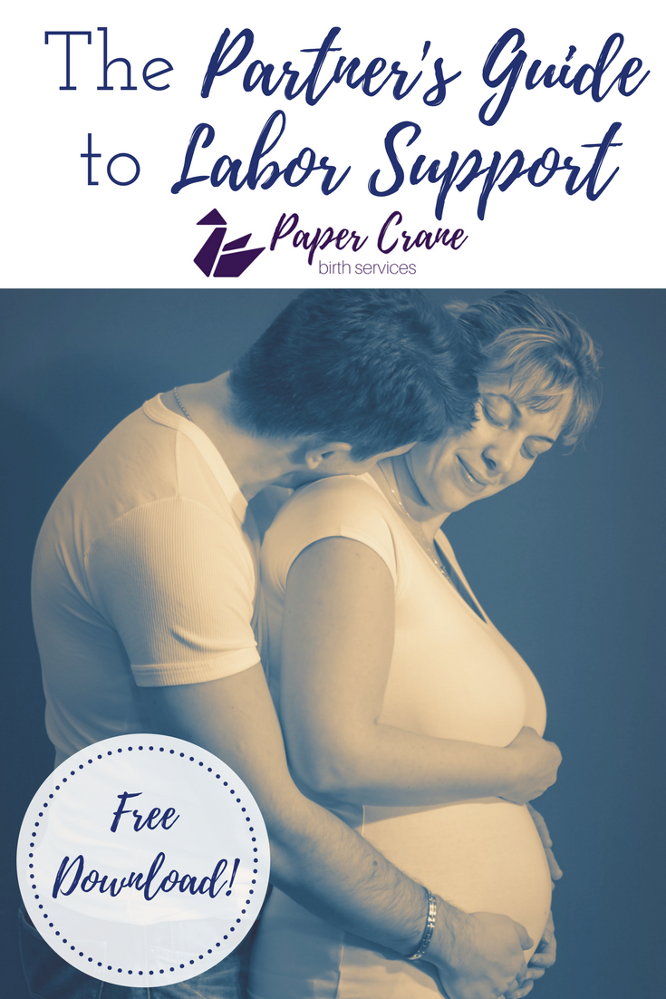 Partner's Guide to Labor Support.png
