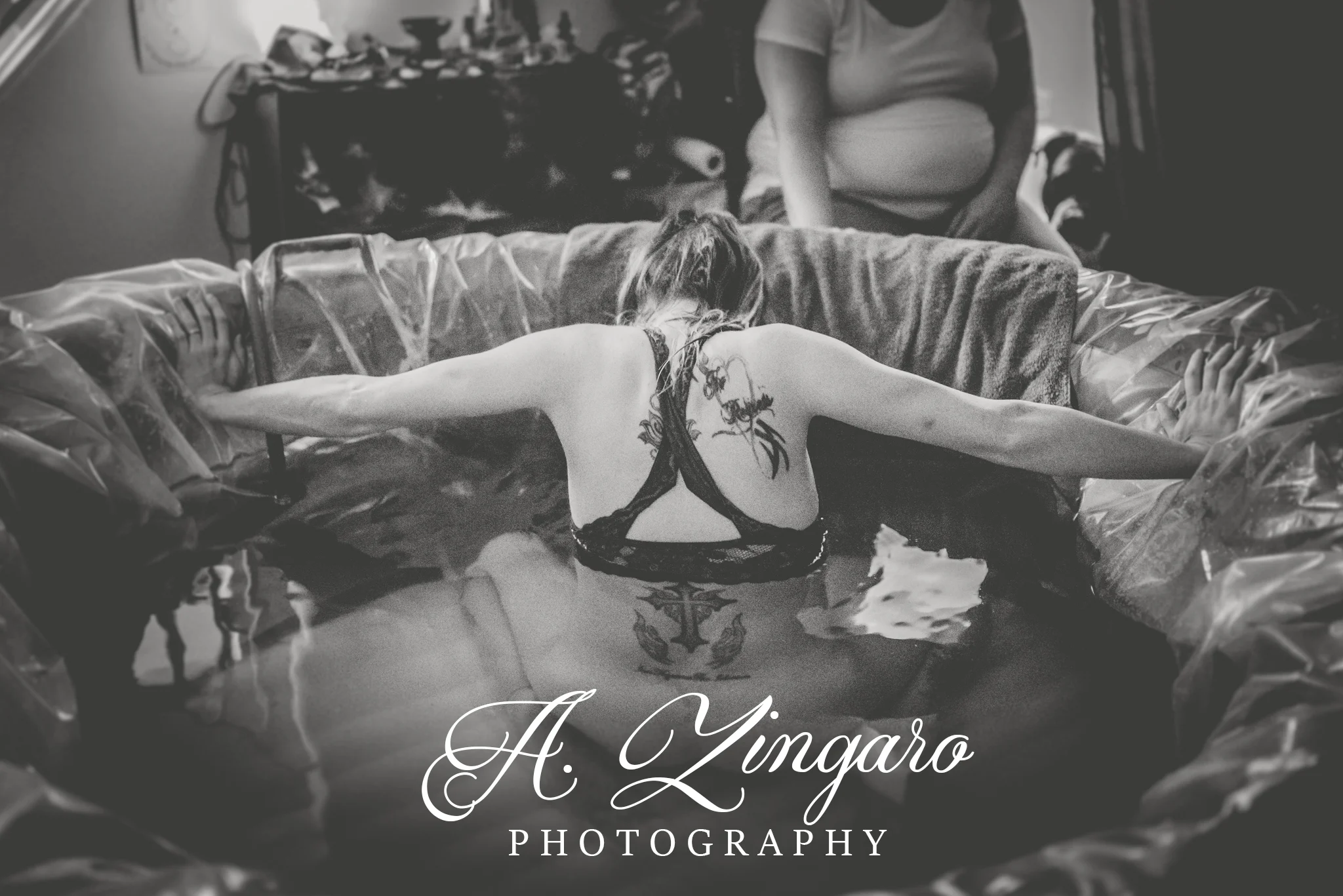 Photo Credit: Alison Zingaro of  A. Zingaro Photography