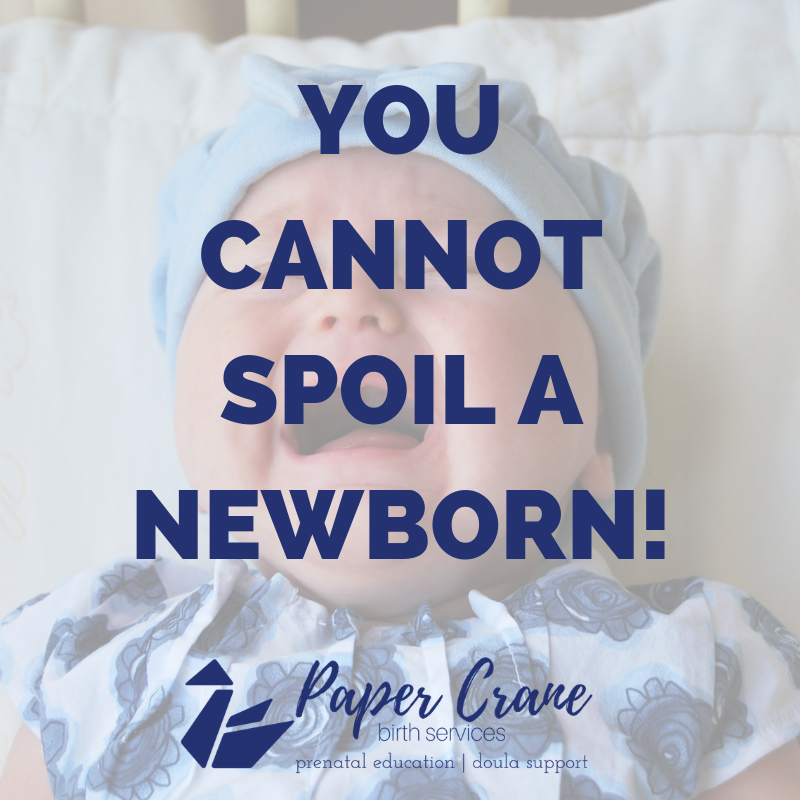 You Cannot Spoil a Newborn | Paper Crane Birth Services Blog