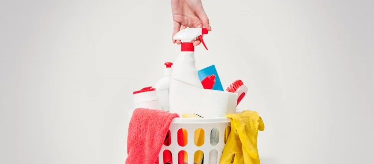 cleaning-products2-750x330.jpg