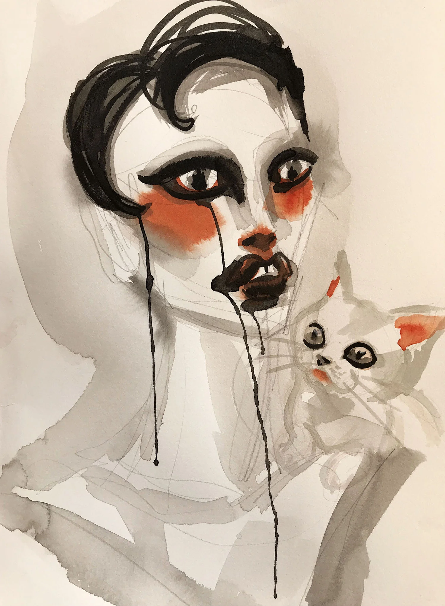 kitten.jpg