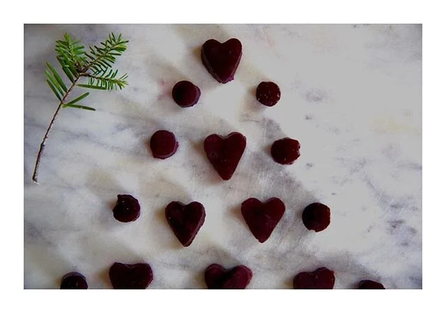 Merry Christmas and Happy Holidays! I made these chewy jellies from the concord grapes that grow just in front of the cottage. I did not add any sugar; I just added a little gelatin to a cooked and strained reduction of the grapes I picked. Agar agar