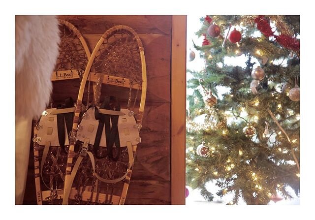 Merry Christmas and Happy Holidays from Raspberry Cottage! 🌲✨ We have old-fashioned snow shoes for guests to explore our many km/miles of trails as included in the guest stay. ✨
✨
#snowshoes #cottage #thecabinchronicles #cabinvibes #thecabinland #ca