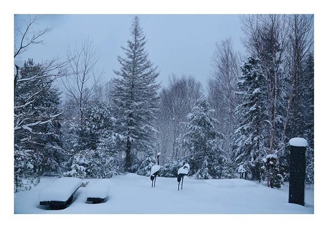 I hope everyone of all faiths and denominations had a lovely holiday. Our family celebrates Easter, and we all want to thank essential workers, including medical workers, postal workers, and oil workers, for their selflessness during this unprecedent