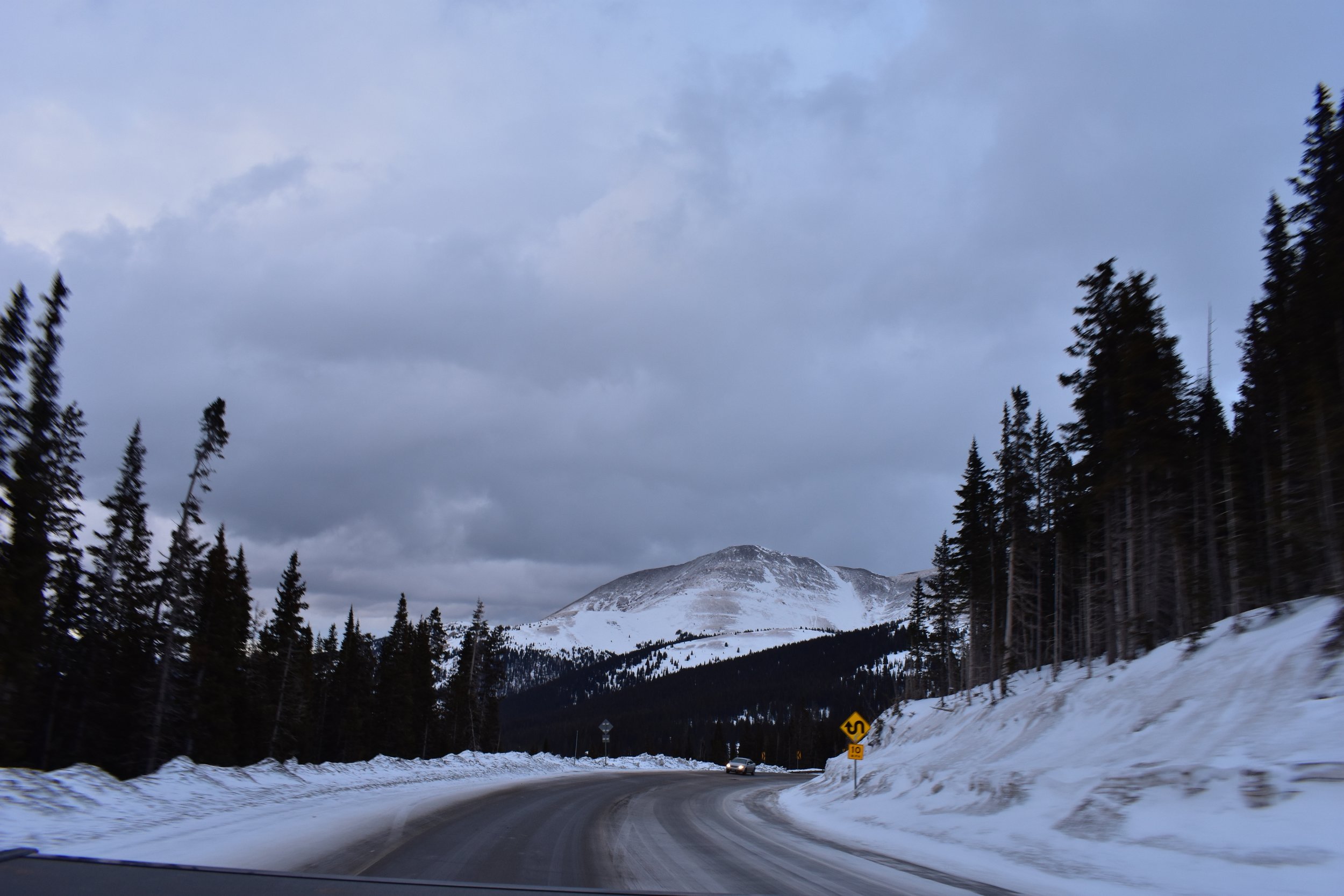 DSC_0199.jpg
