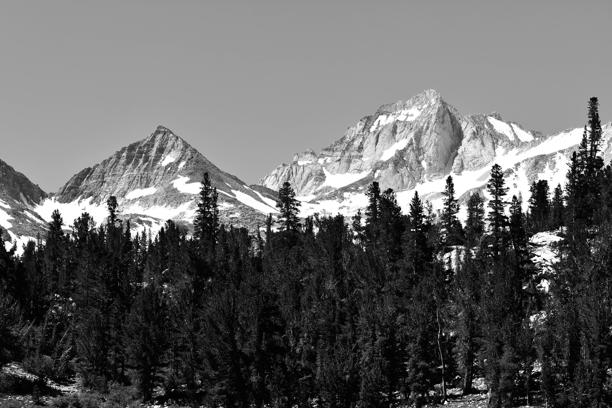 IMG_8226.jpg