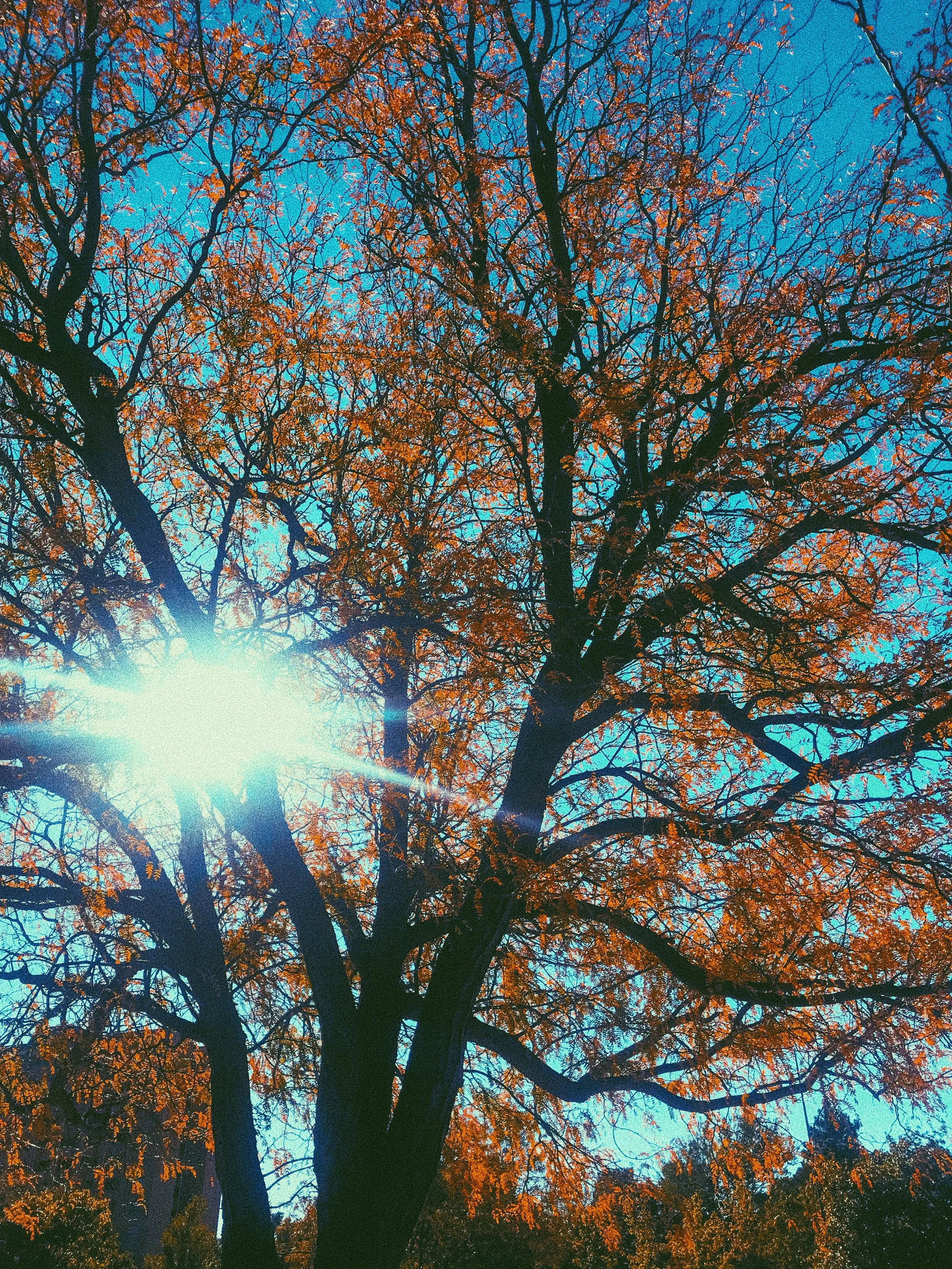 45106245-1136-4FAE-B5B7-9BDDD8B89726 2.JPG