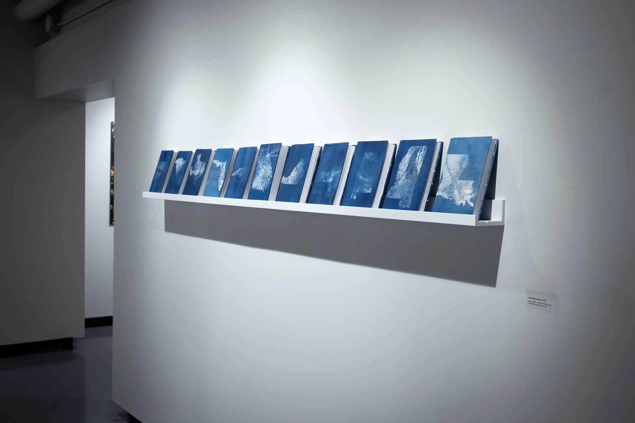 Decoding Polaris Installation View Three.jpg