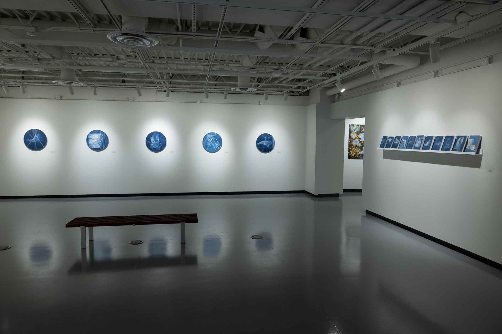Decoding PolarisInstallation View Two.jpg