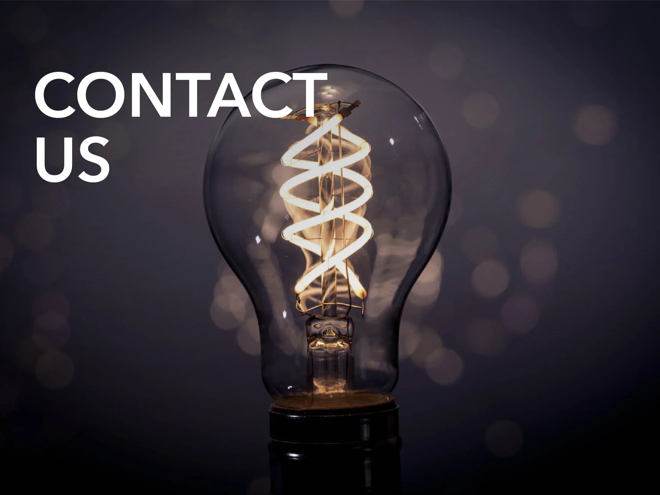 Contact%2BUs.jpg