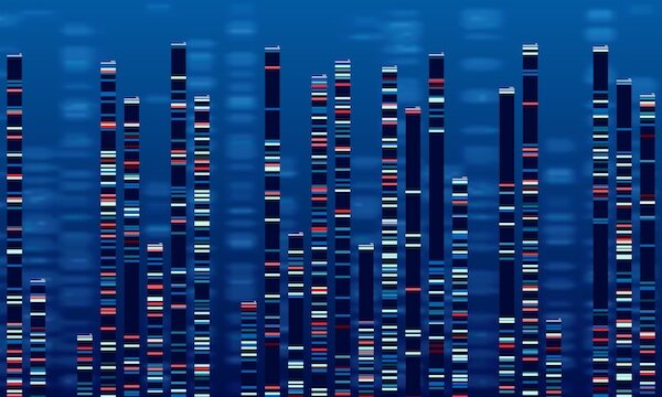 Florida Passes New Genetic Privacy Law: Marks Important Development in Privacy Regulation