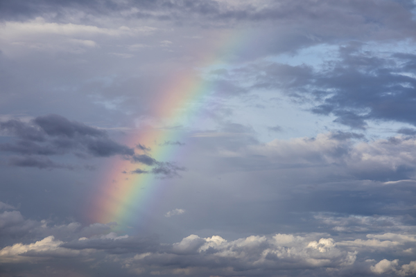 Copyright Woes are Over the Rainbow: Harold Arlen Estate Sues Tech Giants