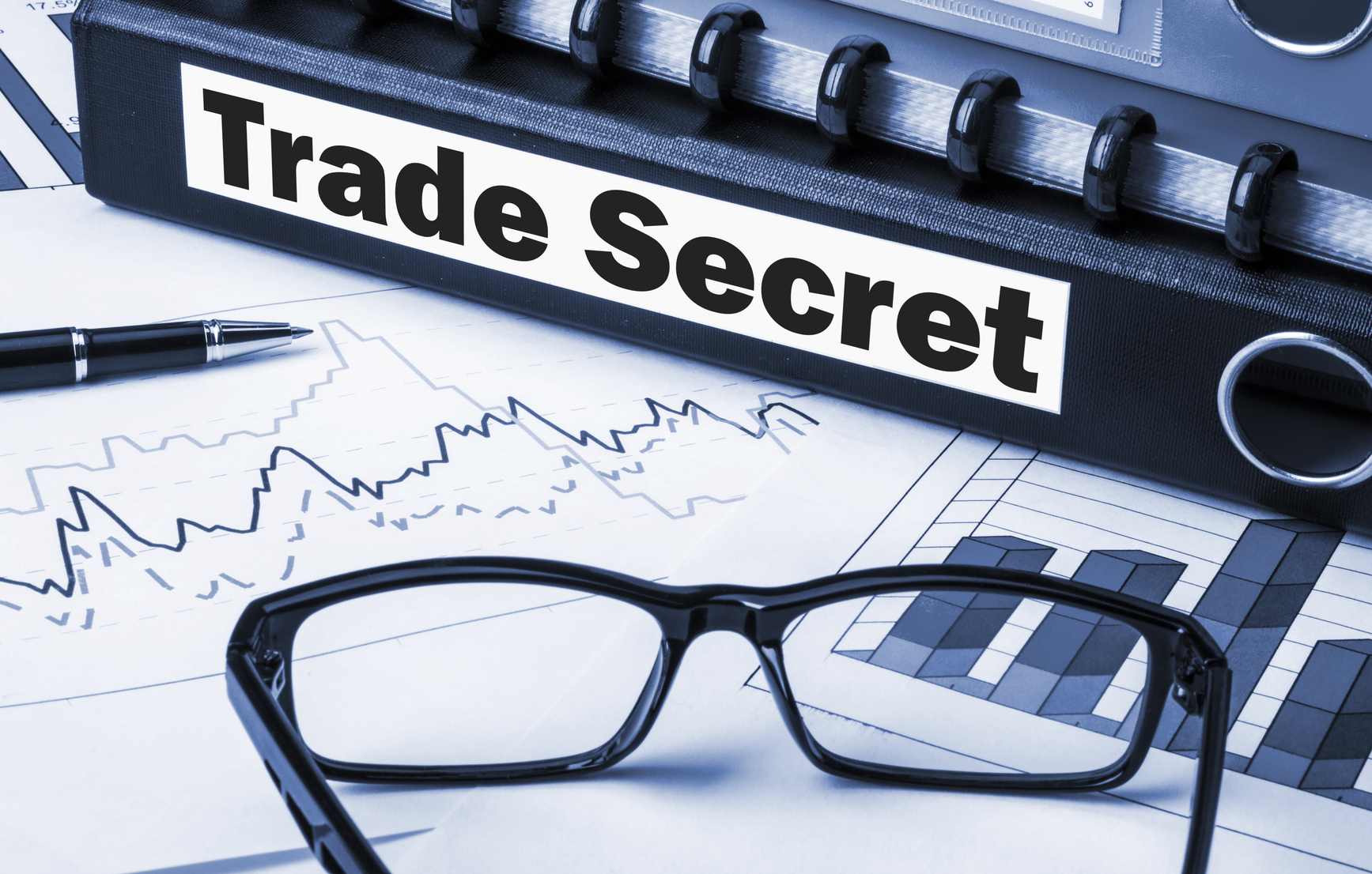 Defend Trade Secrets Act of 2016 Helps Software Developers Protect Intellectual Property