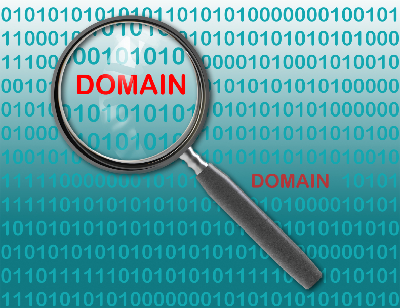 Stopping Domain Name Hijacking and Domain Name Theft
