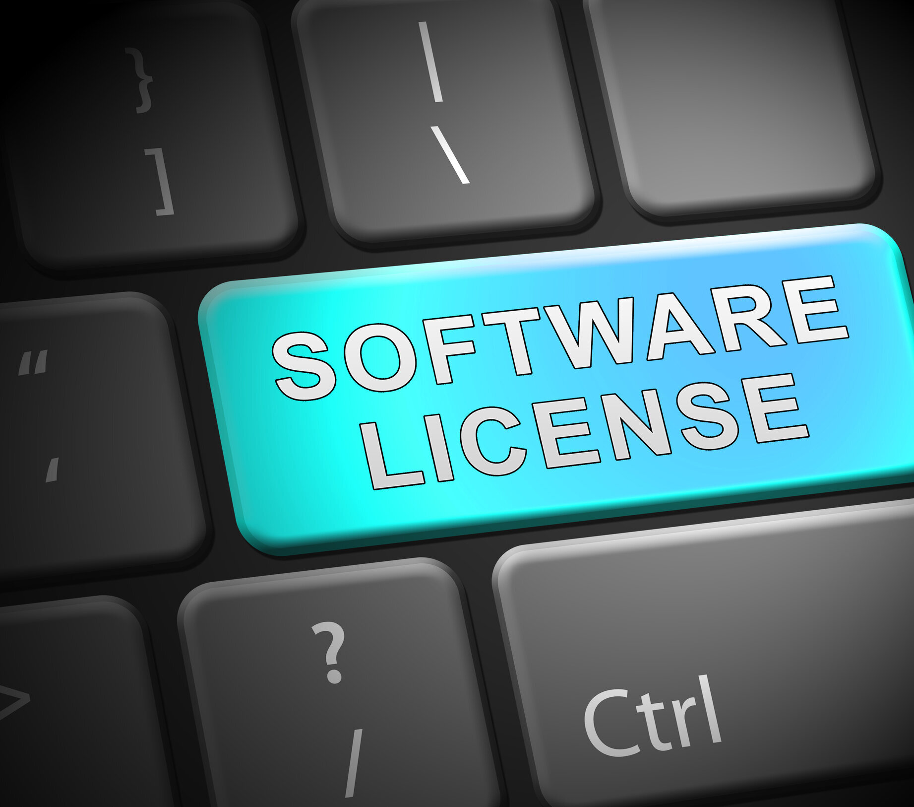 Software Reseller Agreement Essentials - Klemchuk LLP