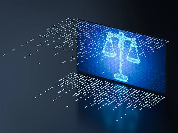 Reducing Costs for IP Enforcement Programs