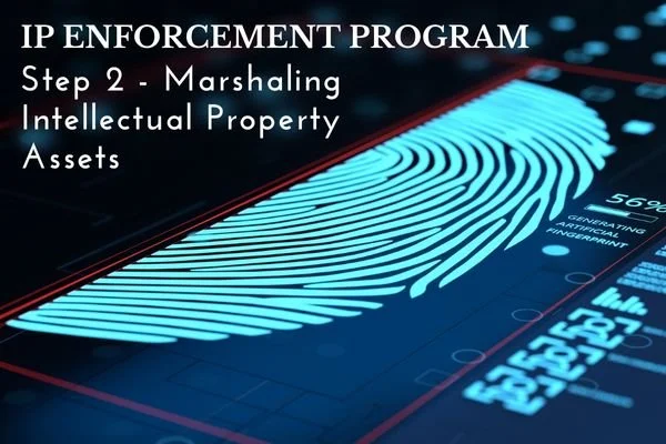 IP-Enforcement Programs: Marshaling Intellectual Property Assets to Combat Knockoffs and Infringement