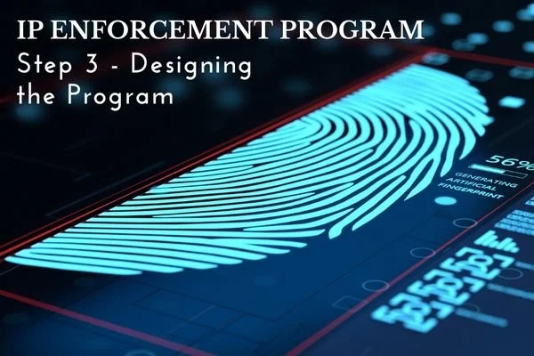 IP-Enforcement Programs: Designing the IP-Enforcement Program to Increase Market Share by Stopping Knockoffs and Infringement