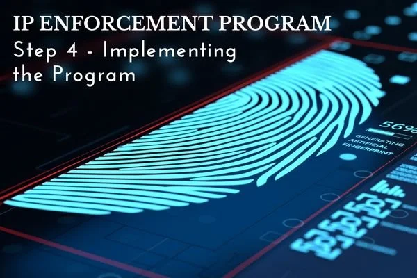 IP-Enforcement Programs: Implementing the Program