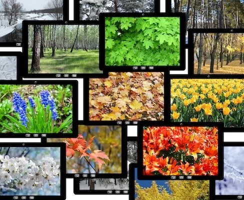 Tips for Handling Photograph Copyright Troll Claims