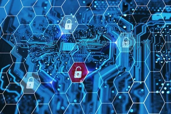 What are top internet law issues?