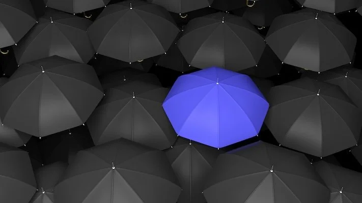 Intellectual Property Infringement Matters and Disputes