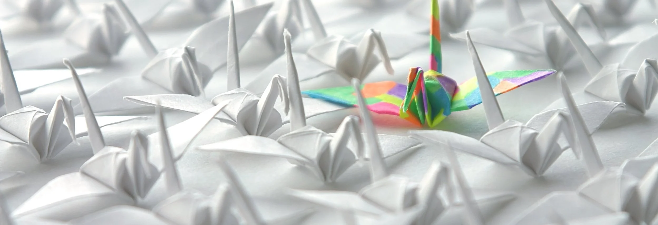 Trade Dress Protection | Texas Trade Dress Lawyers