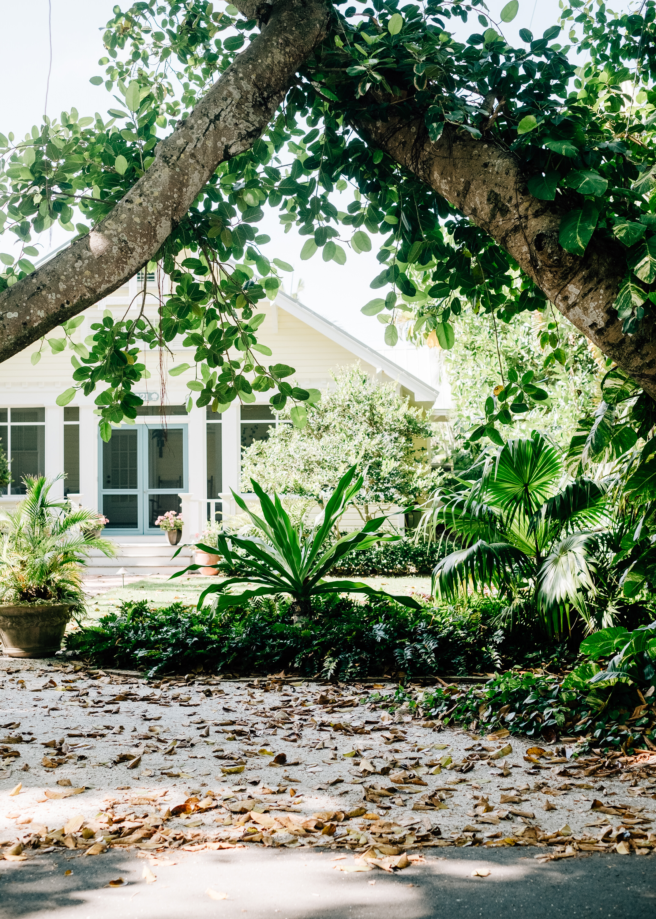 Boca Grande Banyan Street Wedding