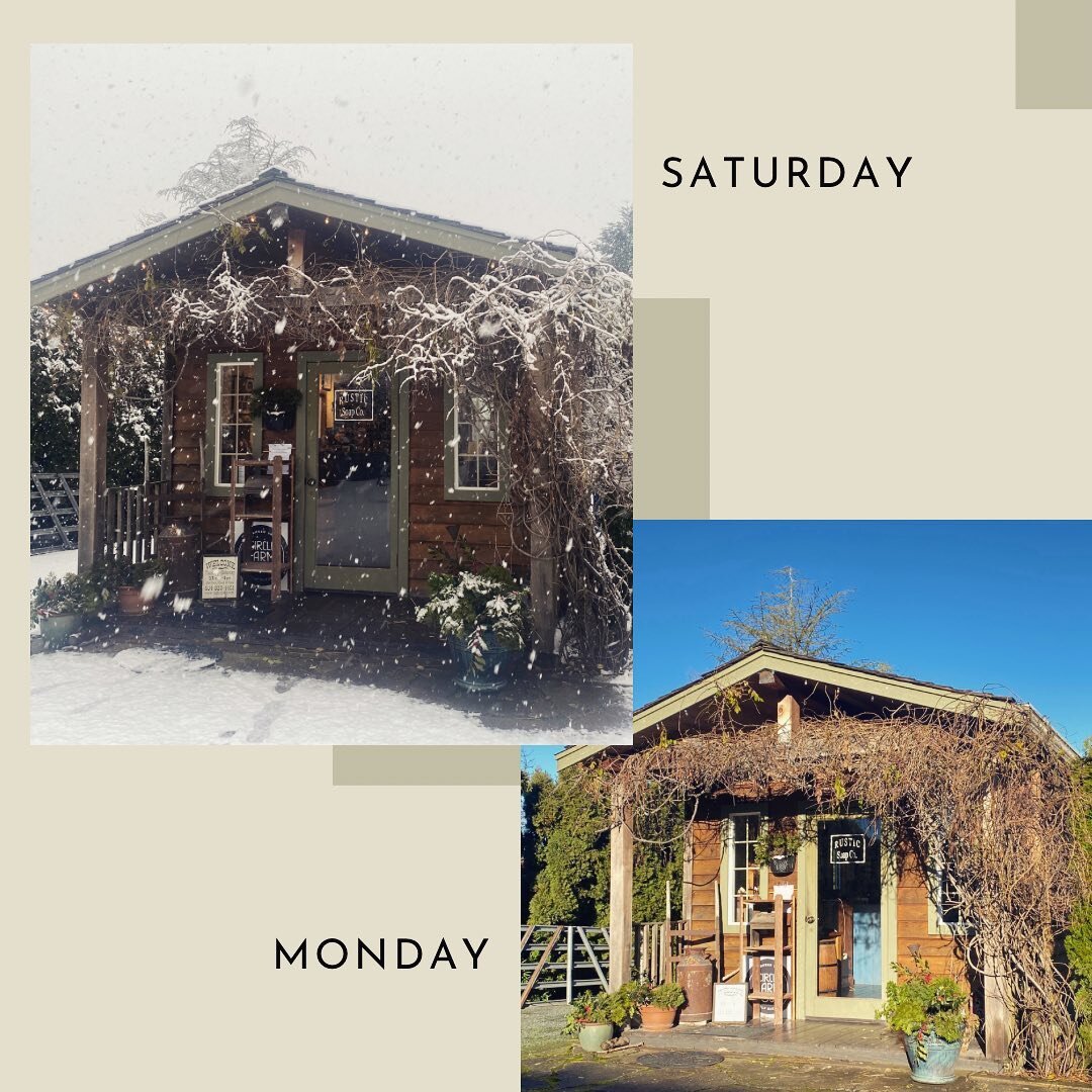 Which do you prefer? ❄️&harr;️☀️
Or door number 3 ➡️ anything but ☔️
Well whatever is in store for us, the Soap Shack is open Thursday - Saturday 11-4!
#soapshack #sharechilliwack #rusticsoap #shoplocal #supportsmallbusiness #chilliwackbusiness