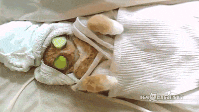 giphy-3.gif