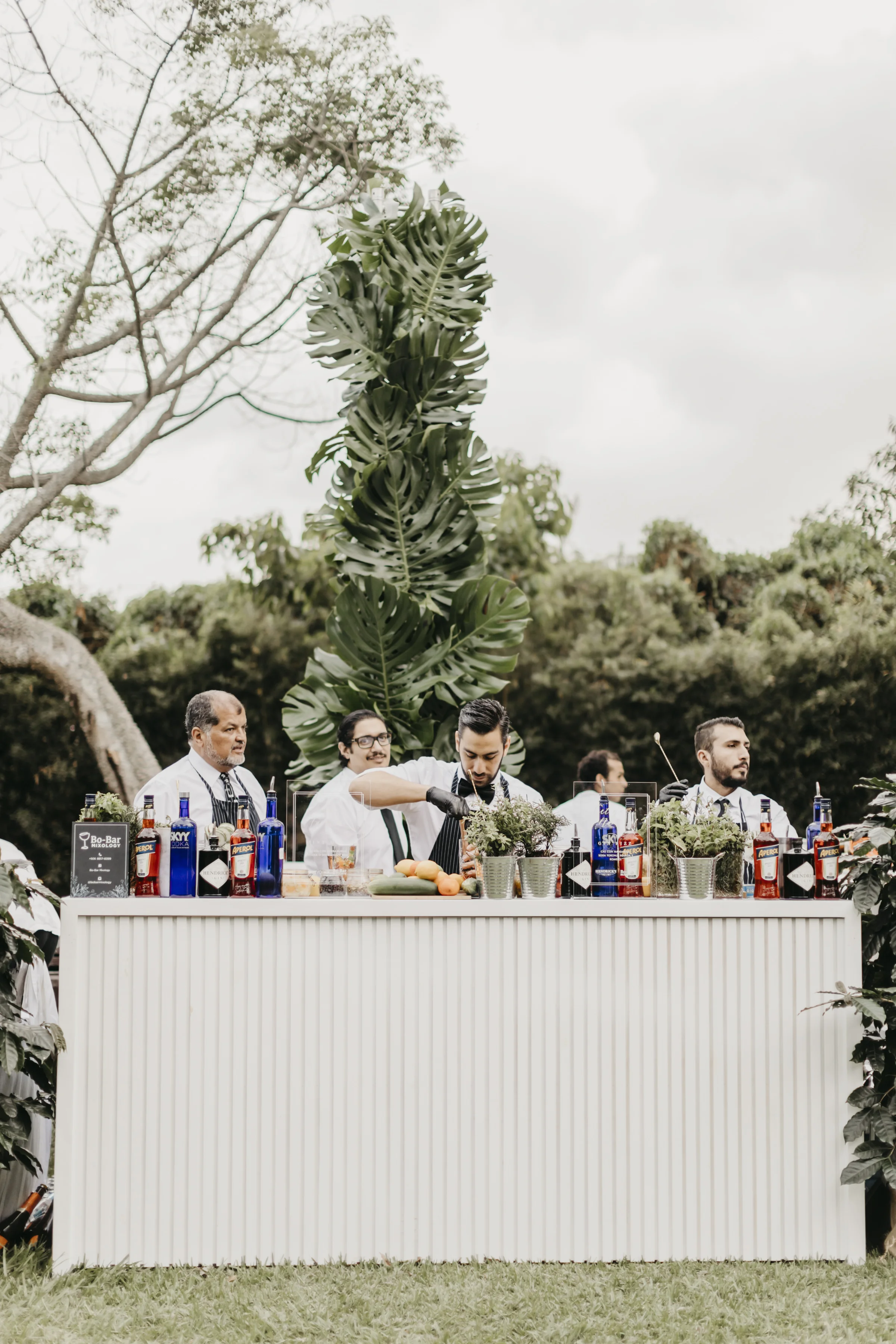 nane_miller_federico_hampl_adriana_rivera_miranda_boda_costa_rica_coctel_5.jpg