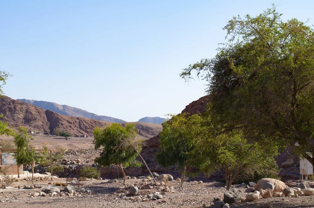 20180719441 copy.JPG