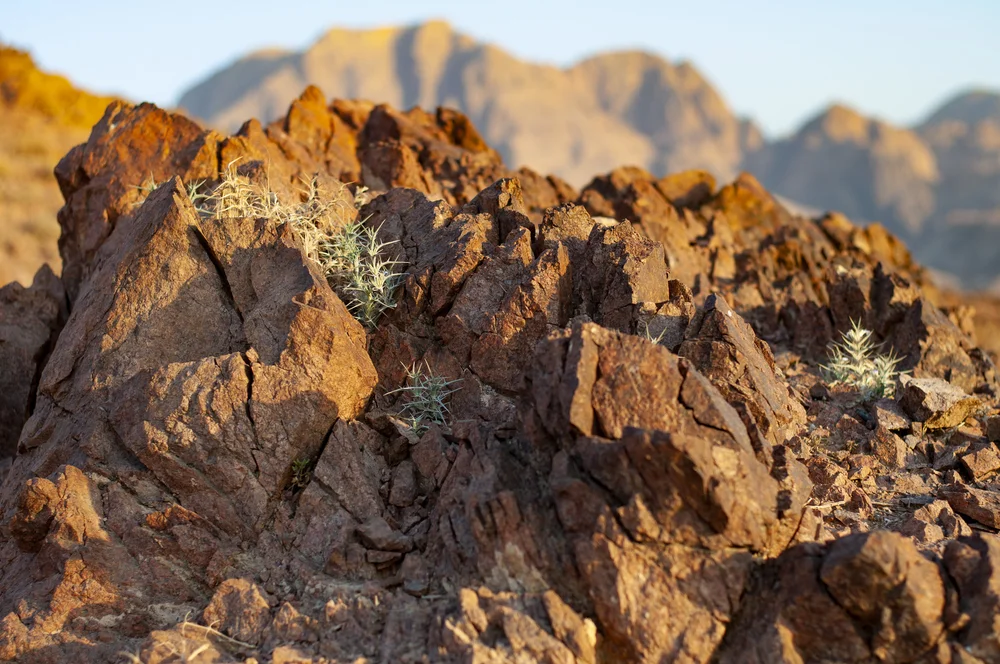 20180718426 copy.JPG