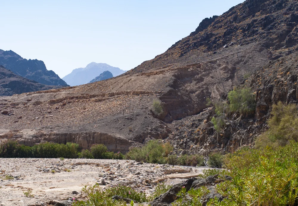 20180718408 copy.JPG