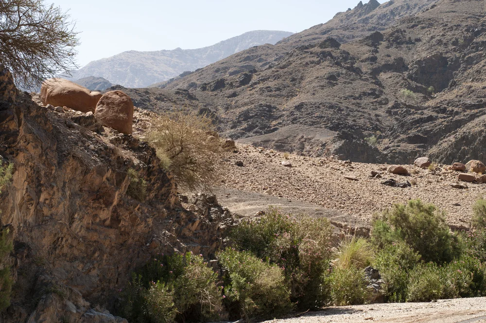 20180718407 copy.JPG