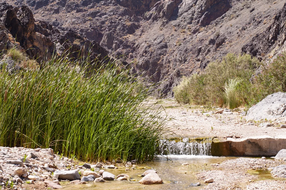 20180718406 copy.JPG