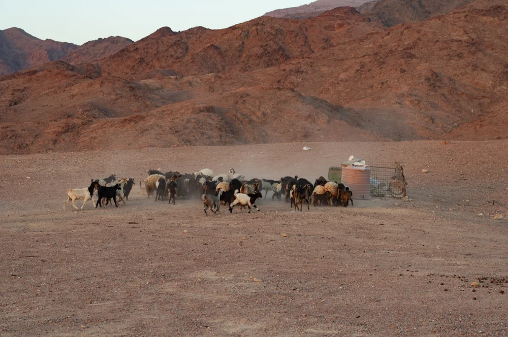 20180718418 copy.JPG