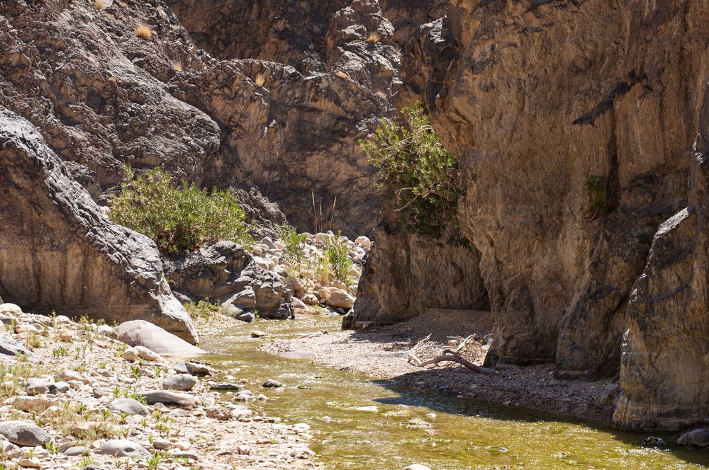 20180718402 copy.JPG