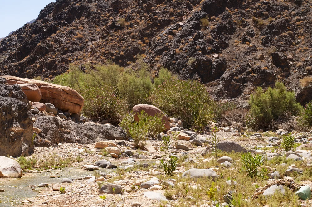 20180718400 copy.JPG