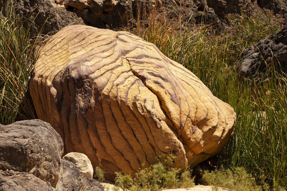 20180718399 copy.JPG