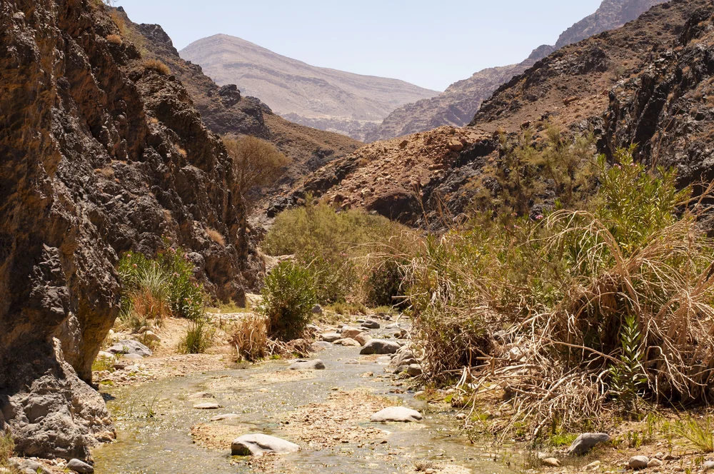 20180718398 copy.JPG